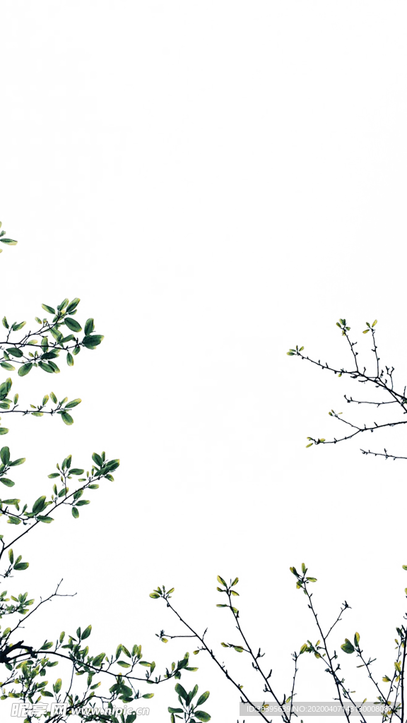 绿色相框