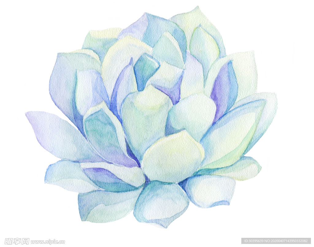 绿色相框