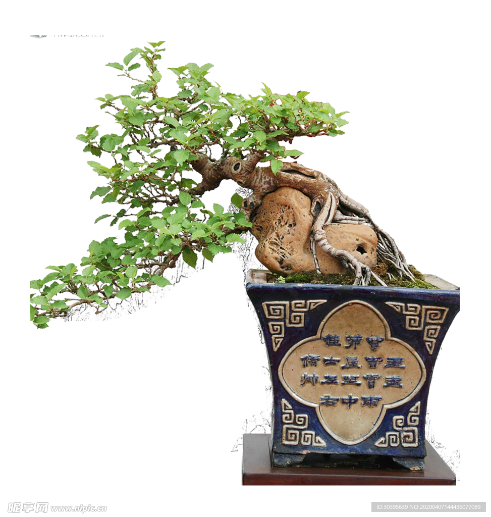 绿色相框