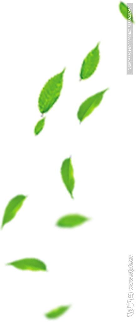 植物