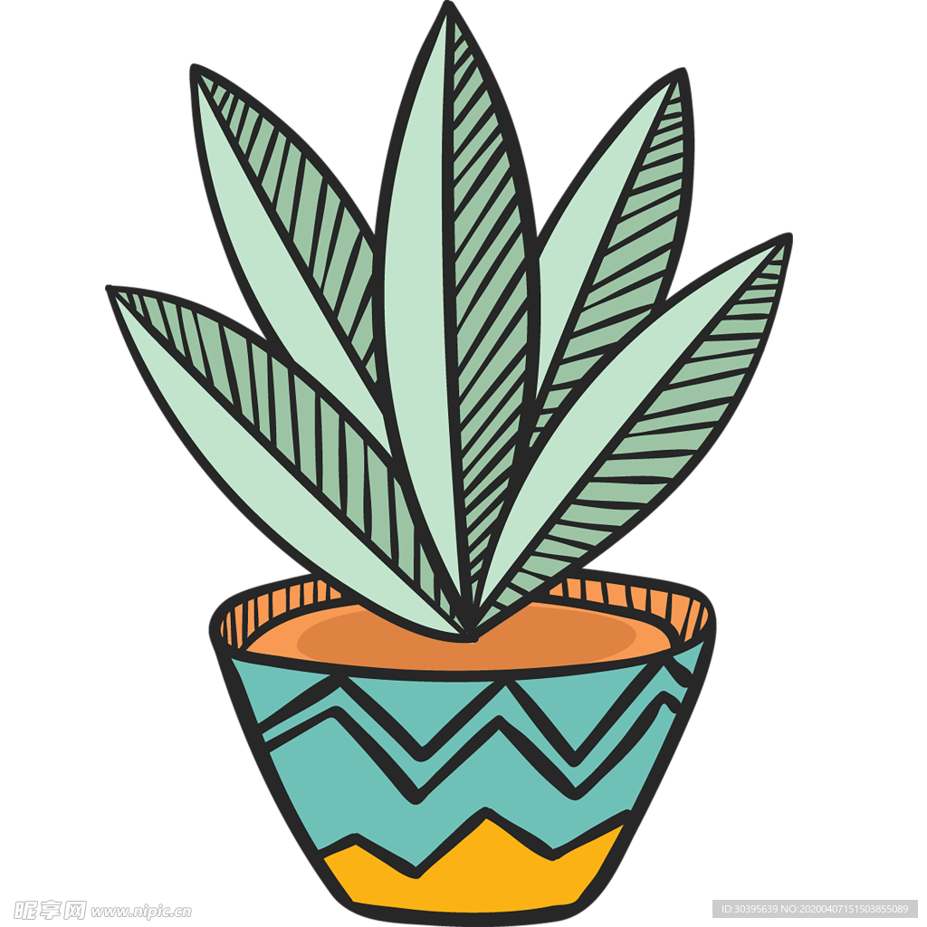 植物