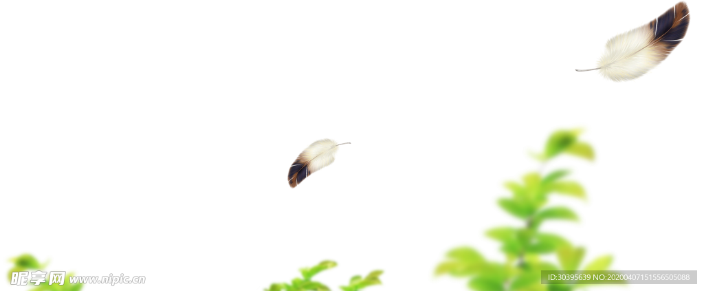 植物
