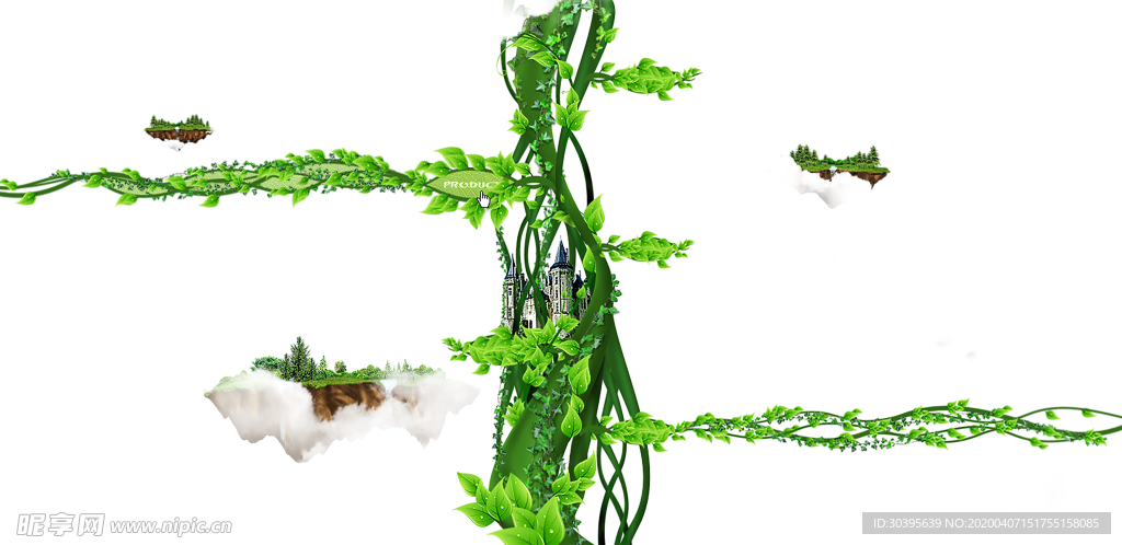 植物