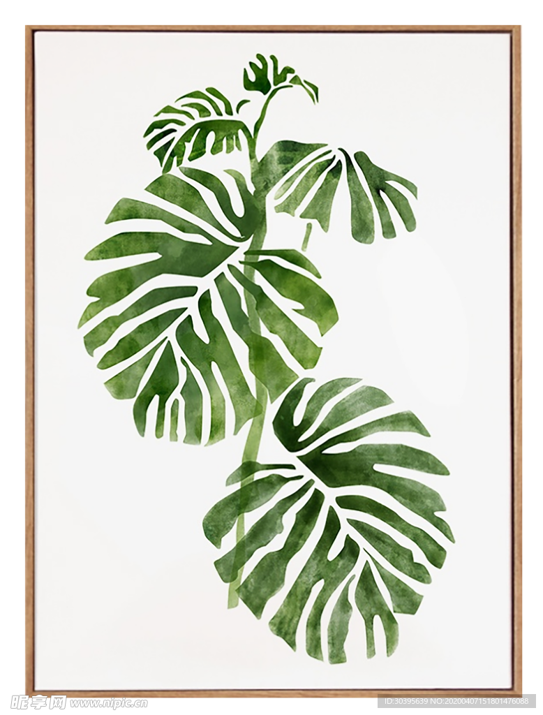 植物
