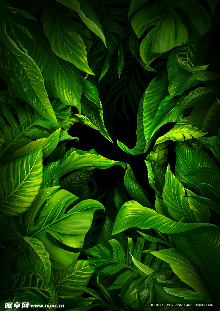 植物