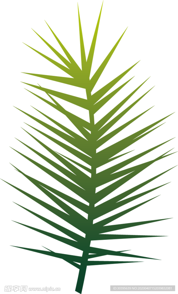 植物