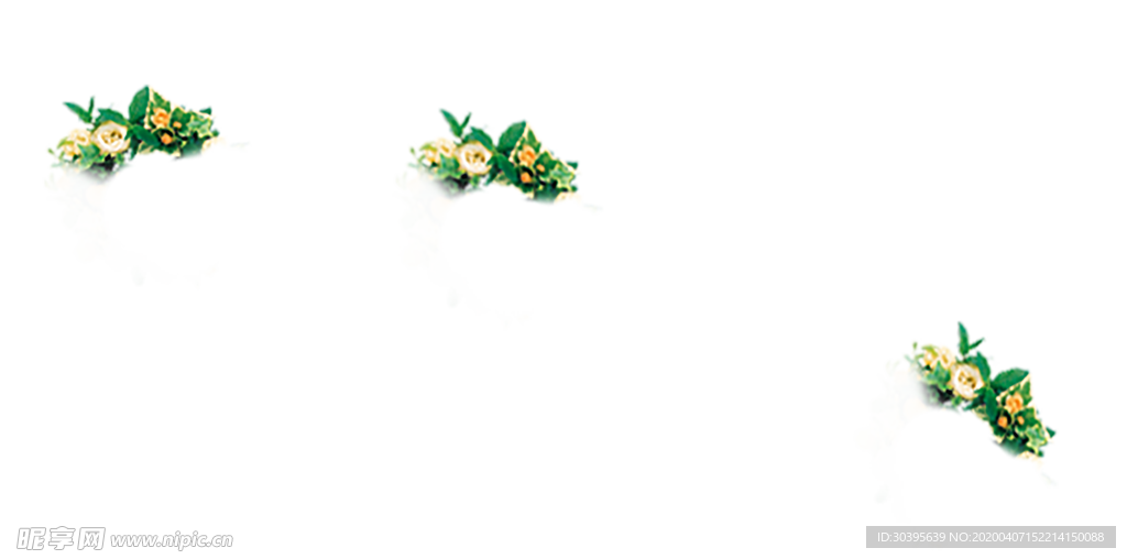 植物