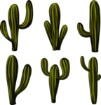 植物