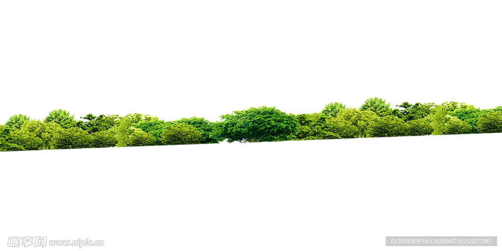 植物