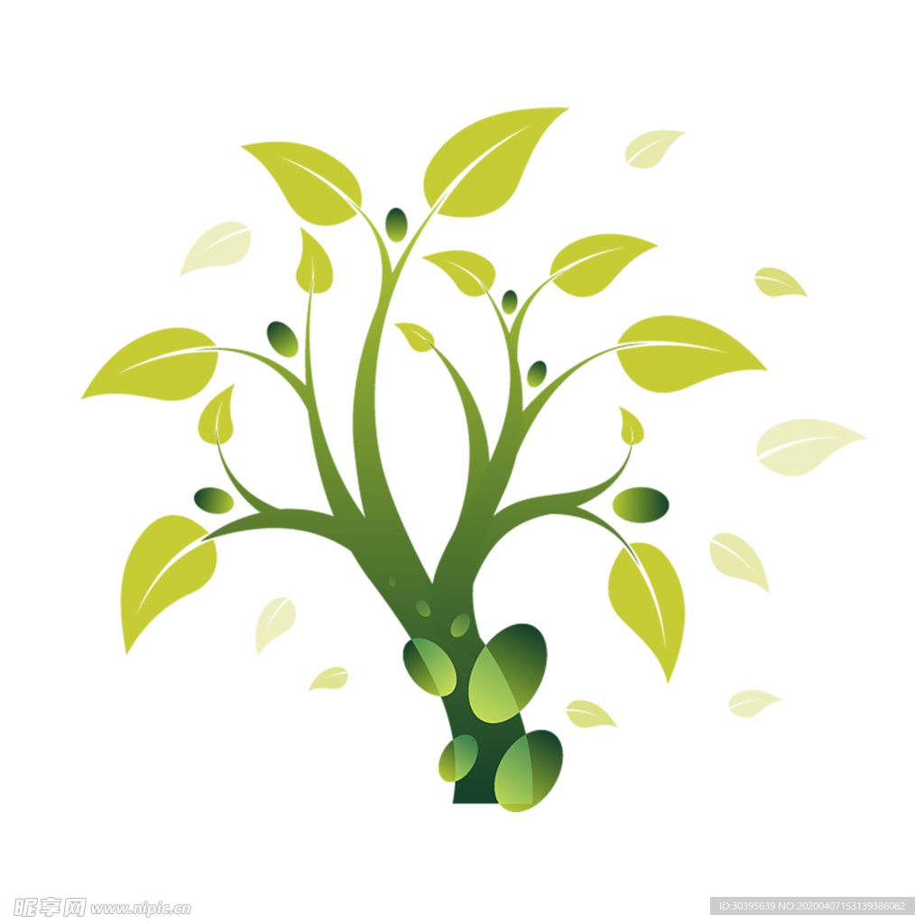 植物