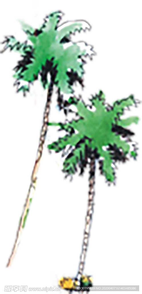 绿色植物
