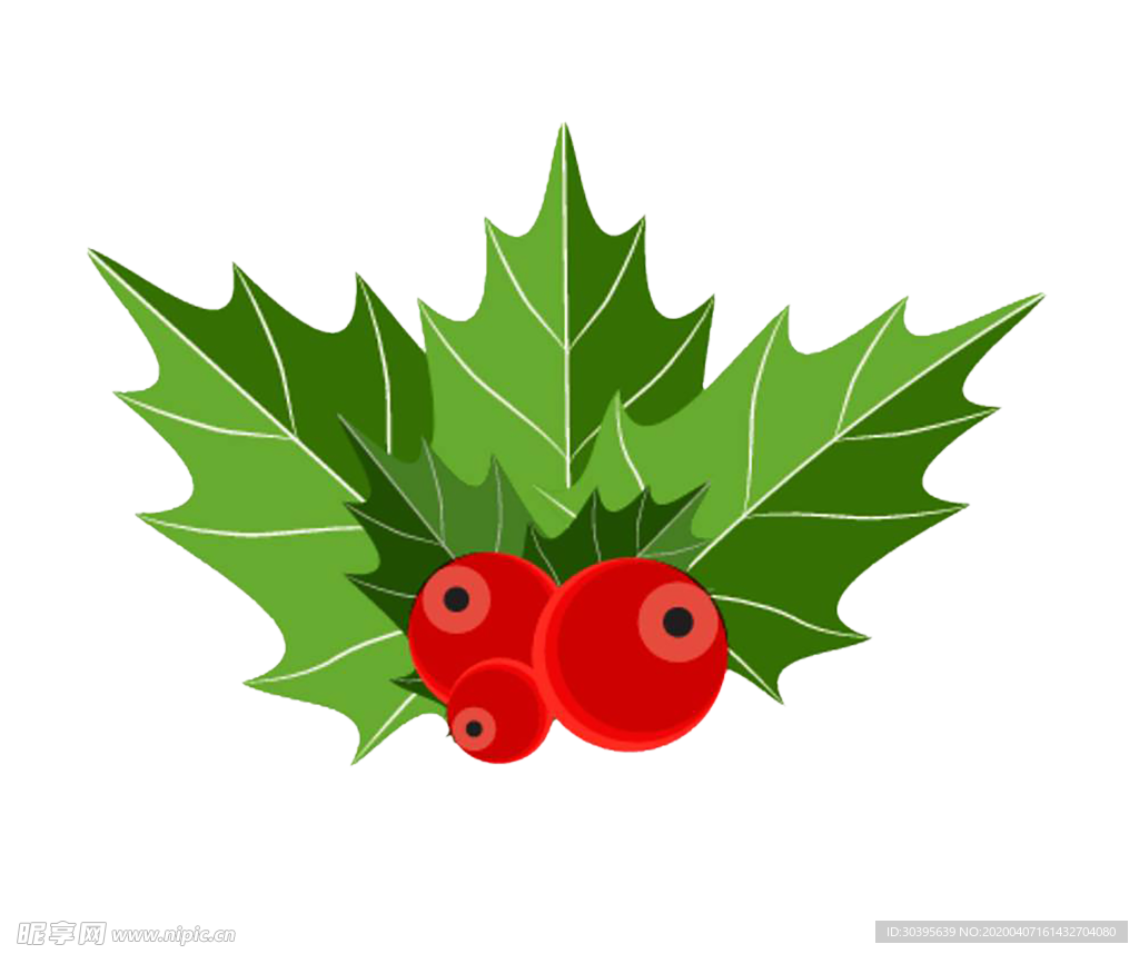 绿色植物
