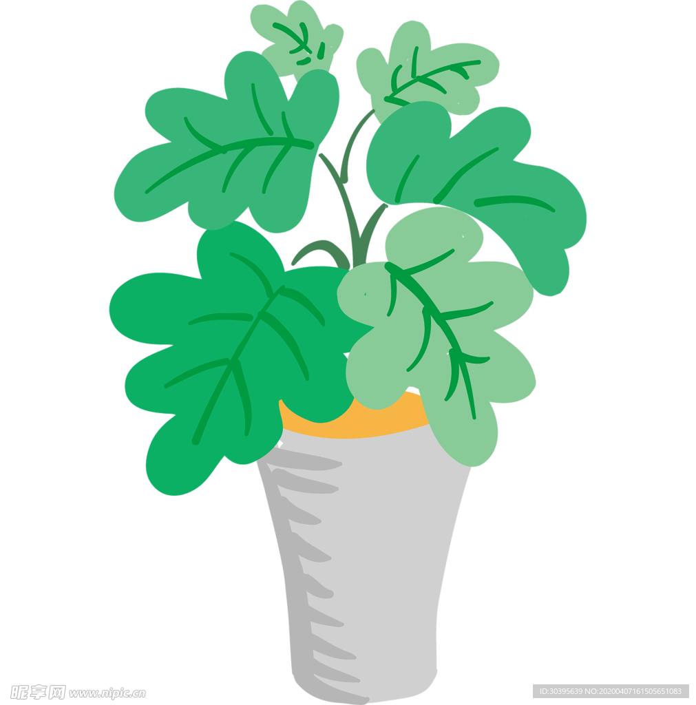 绿色植物