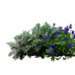 绿色植物