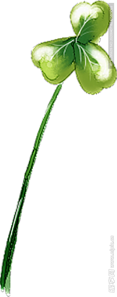 绿色植物