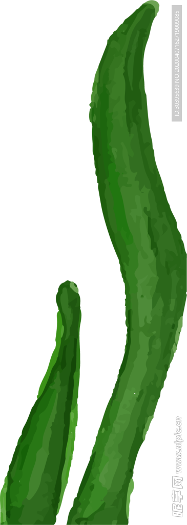 绿色植物