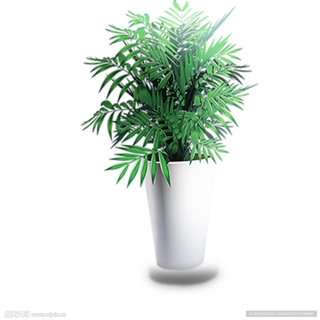 绿色植物