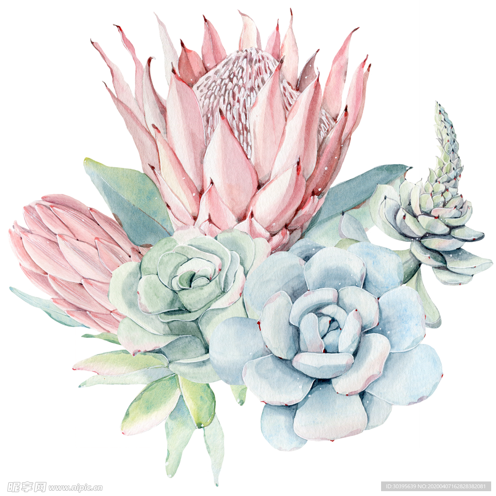 绿色植物