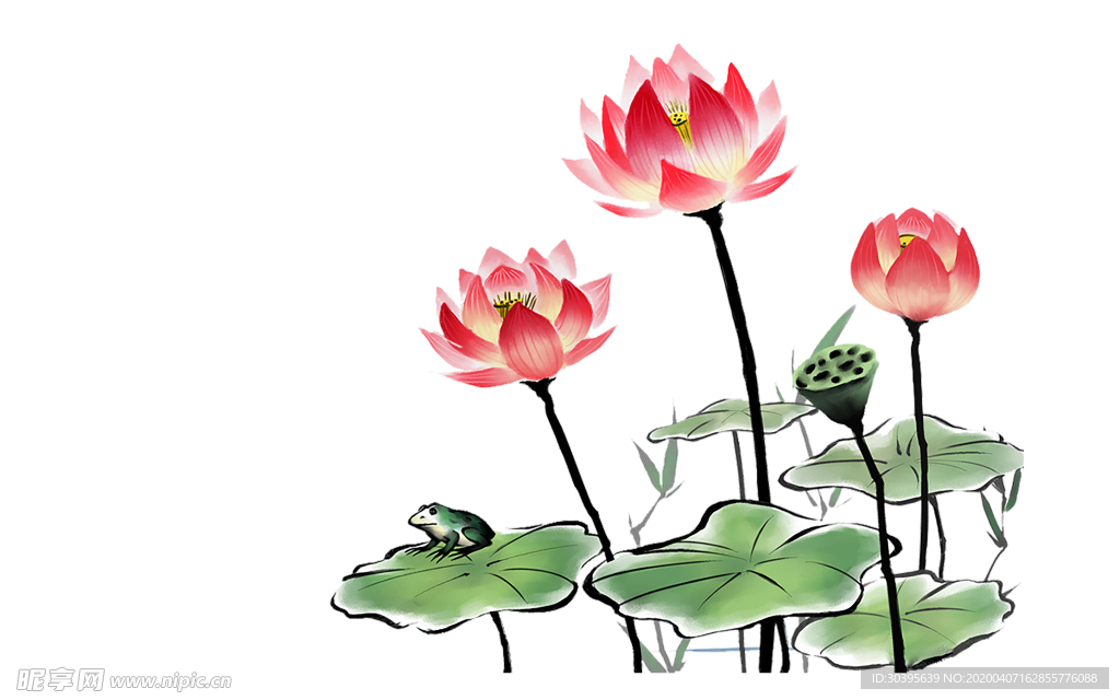 绿色植物