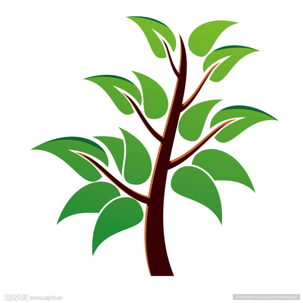 绿色植物