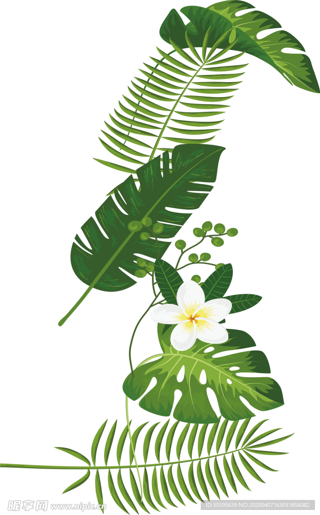 绿色植物