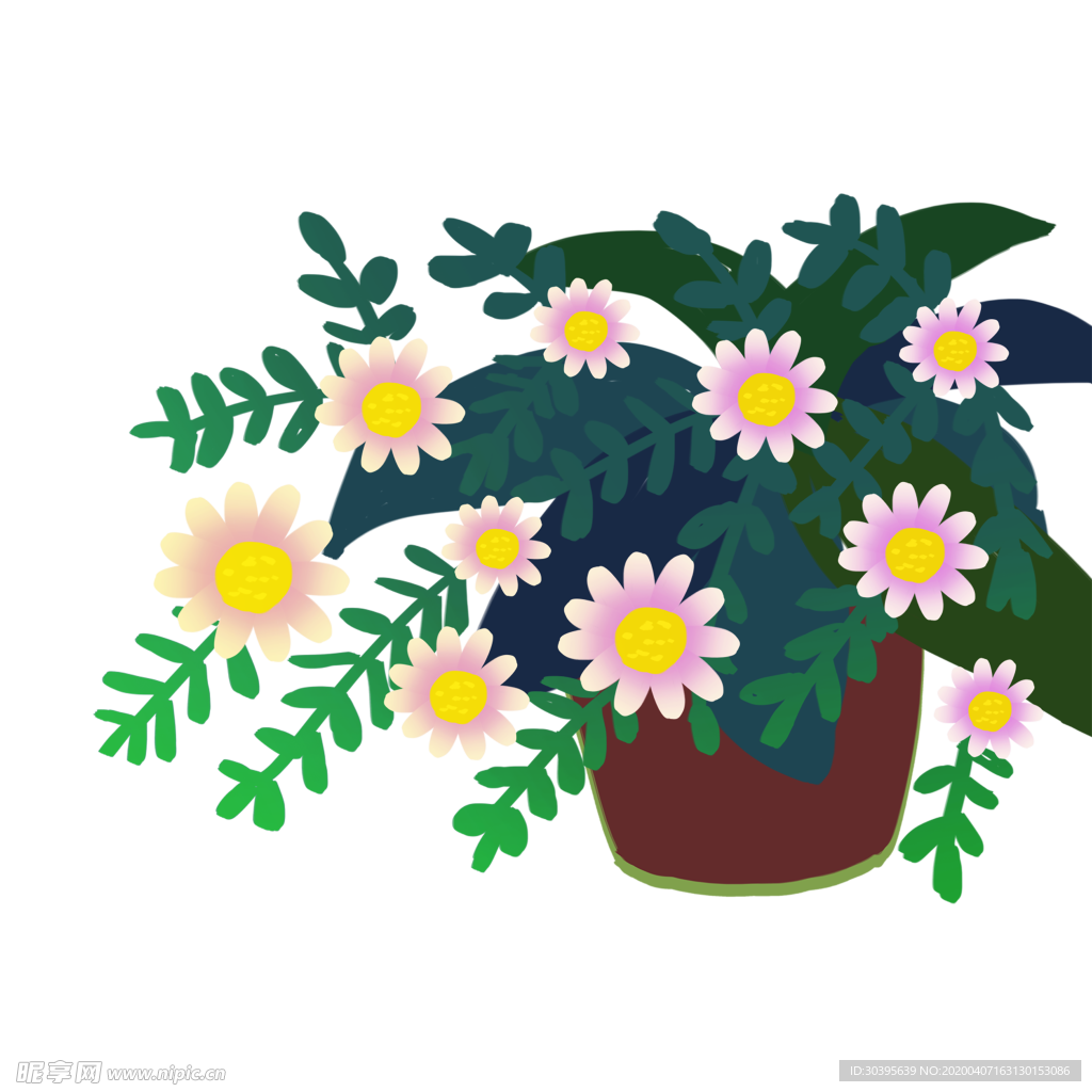 绿色植物