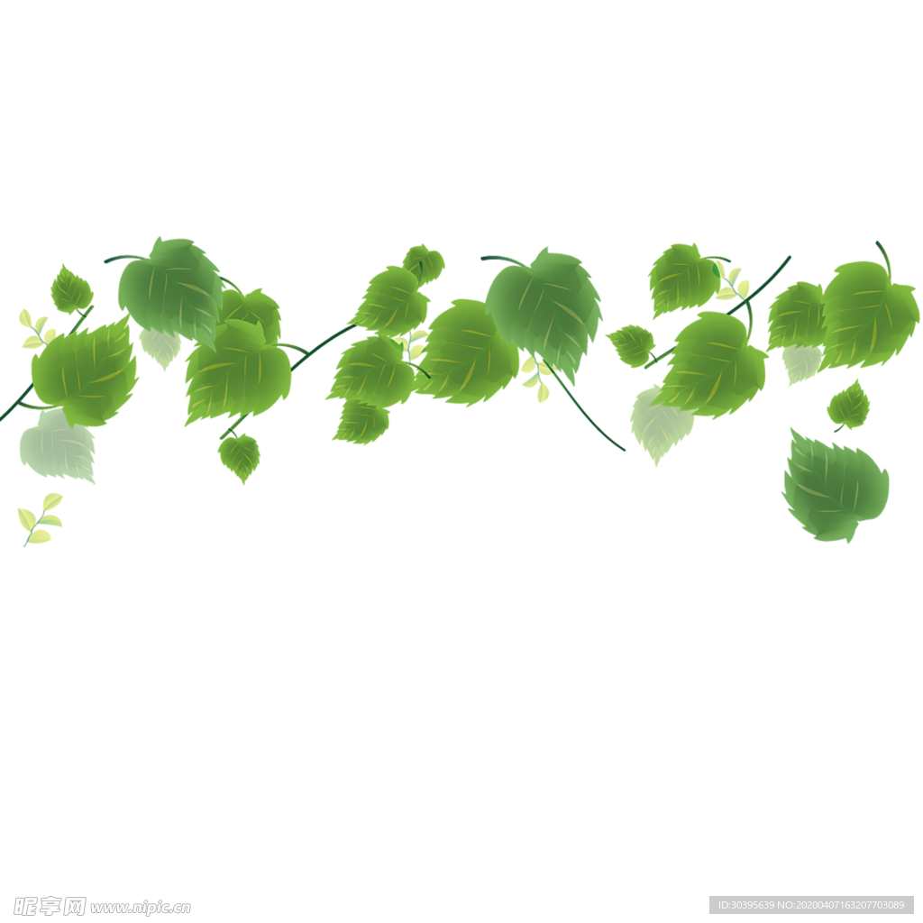 绿色植物