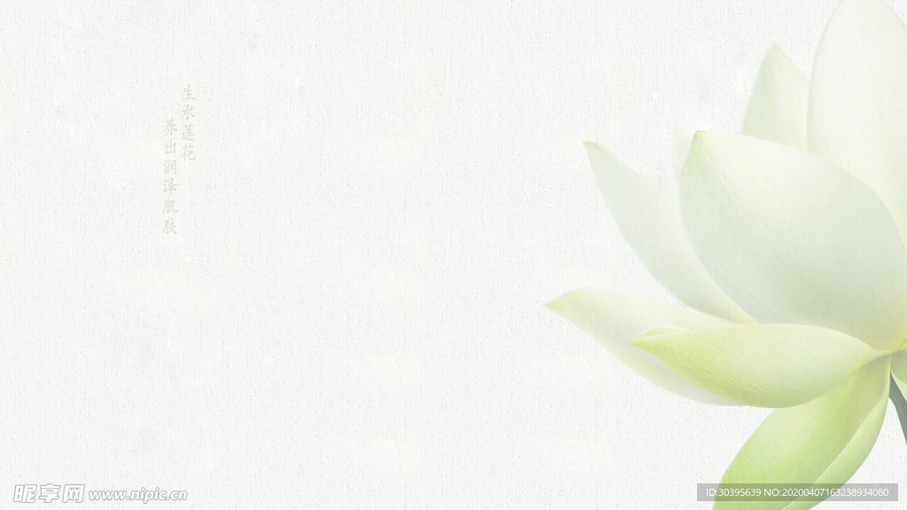 绿色植物