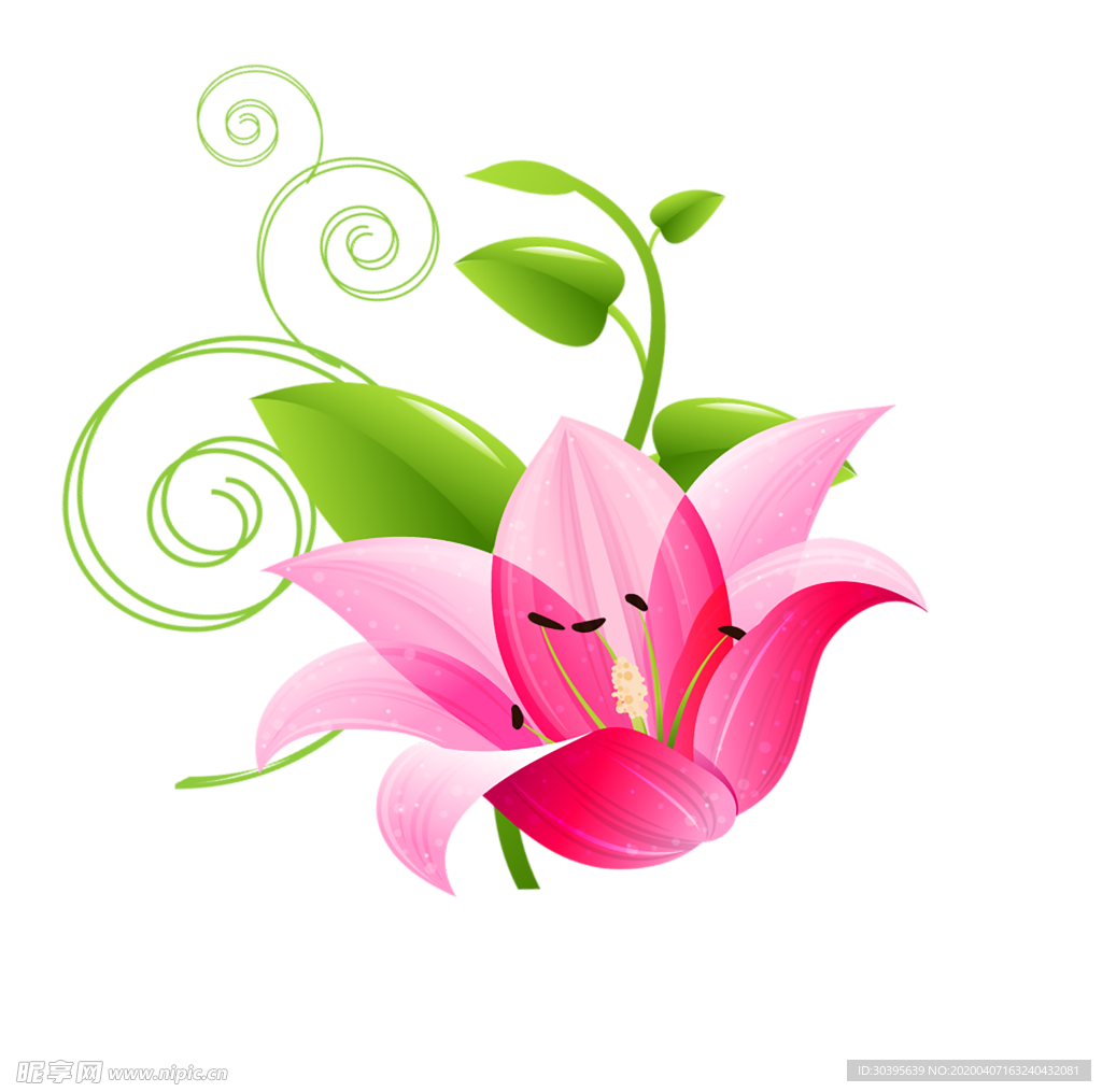 绿色植物