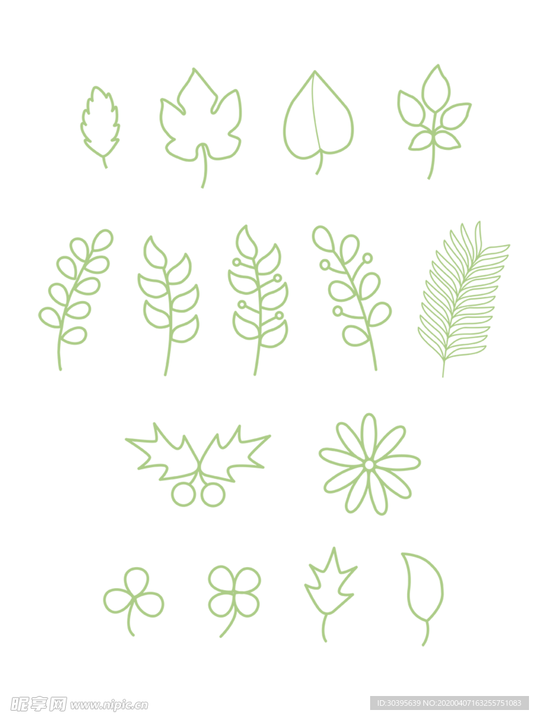 绿色植物
