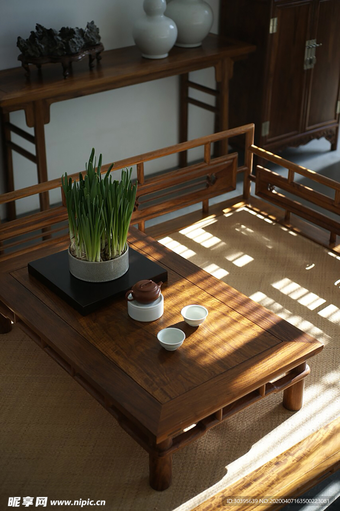 绿色植物