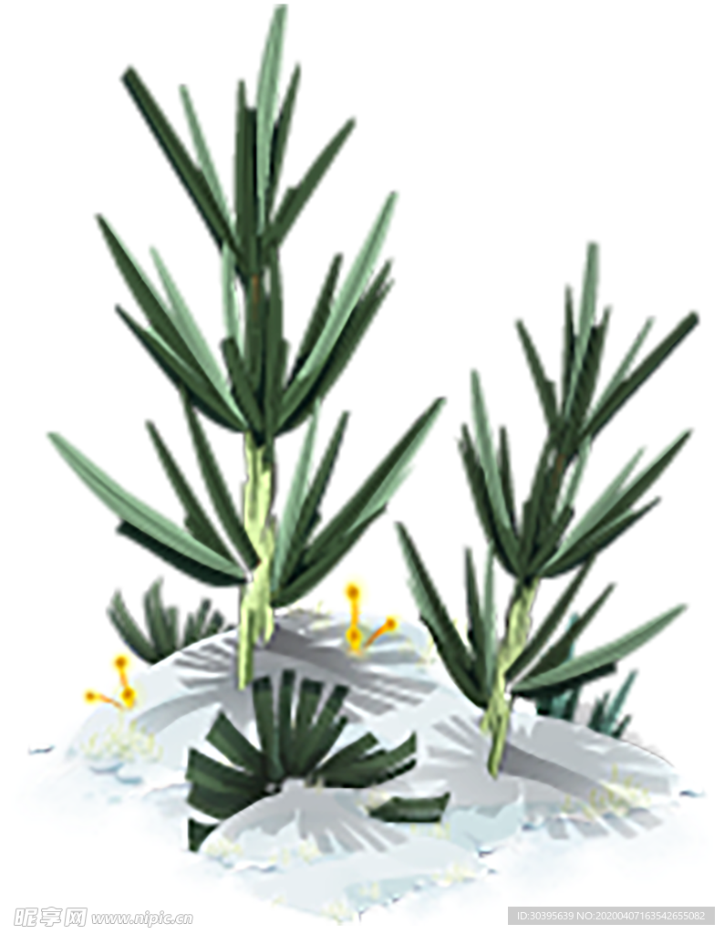 绿色植物