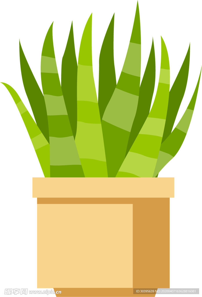 绿色植物
