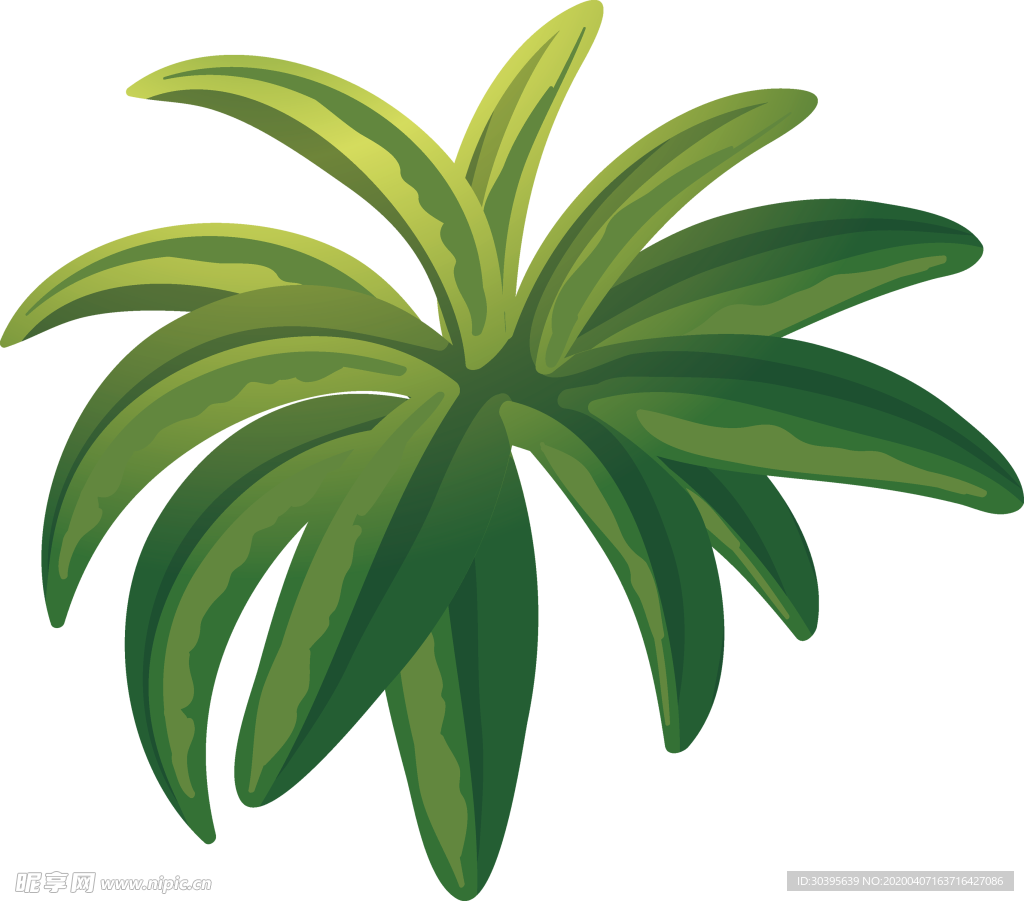 绿色植物