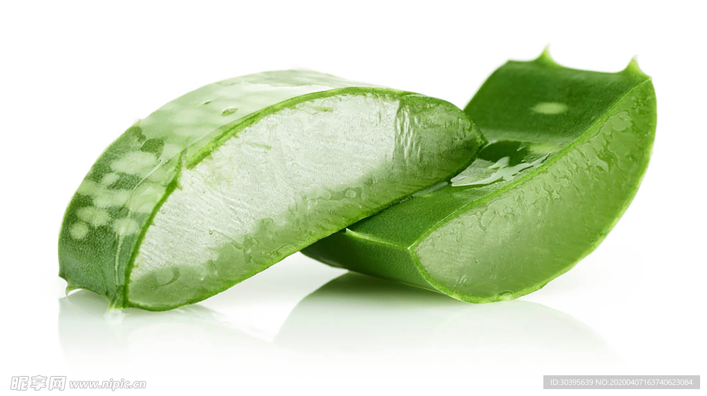 绿色植物