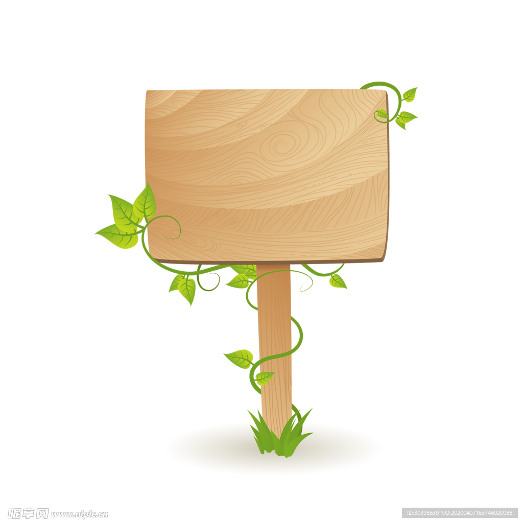 绿色植物