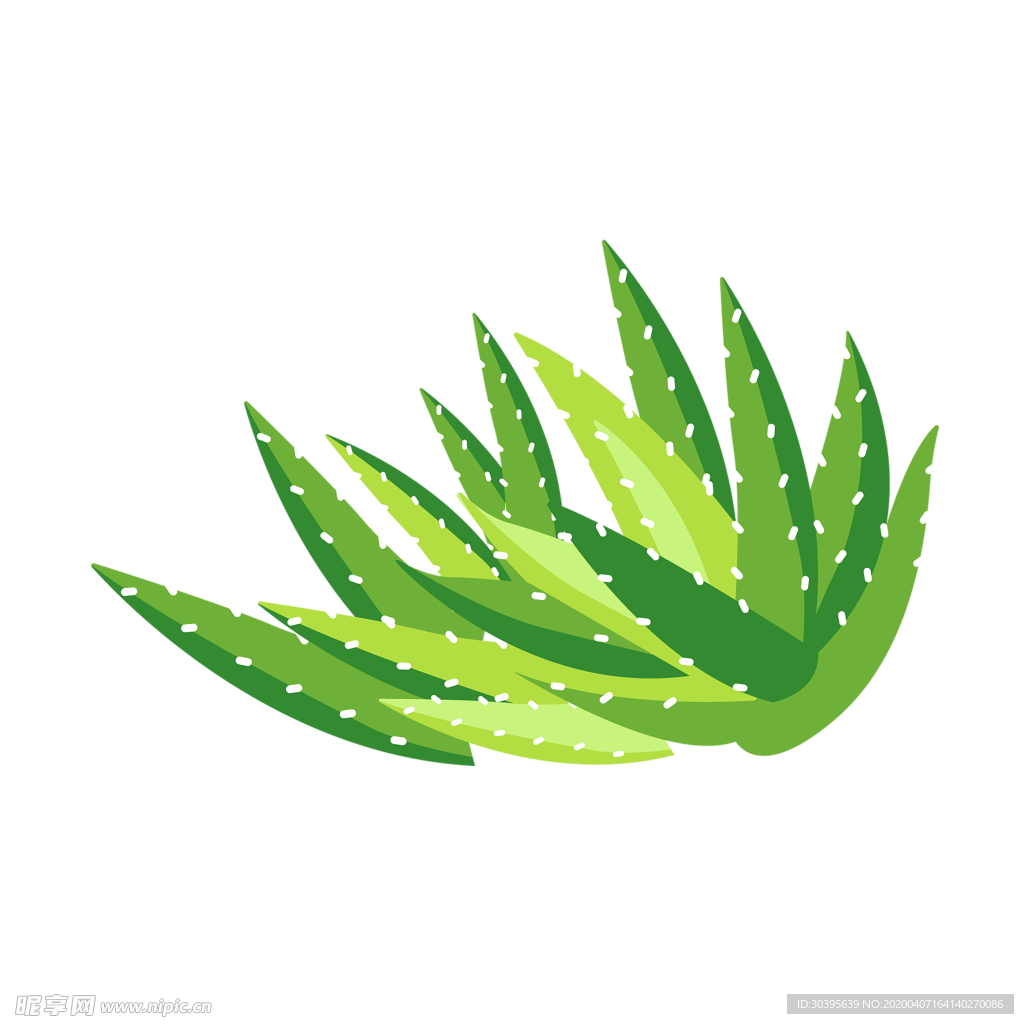 绿色植物
