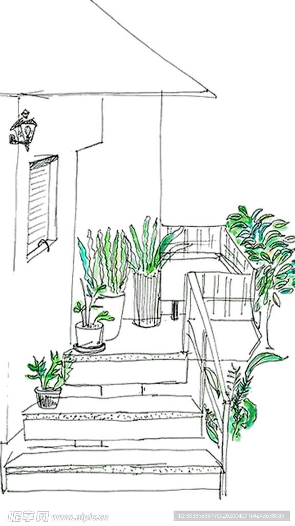 绿色植物
