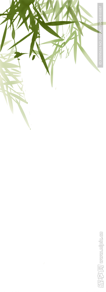 绿色植物
