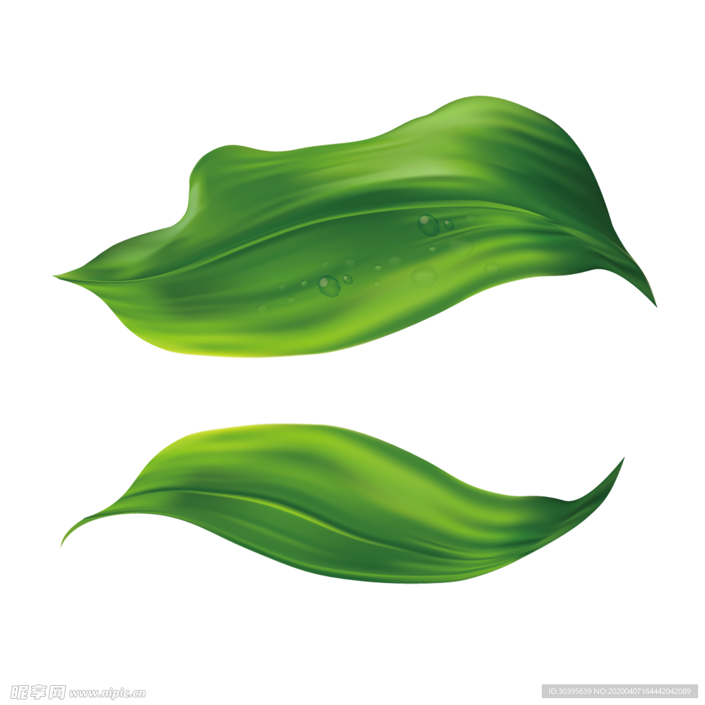 绿色植物