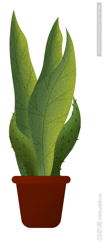 绿色植物