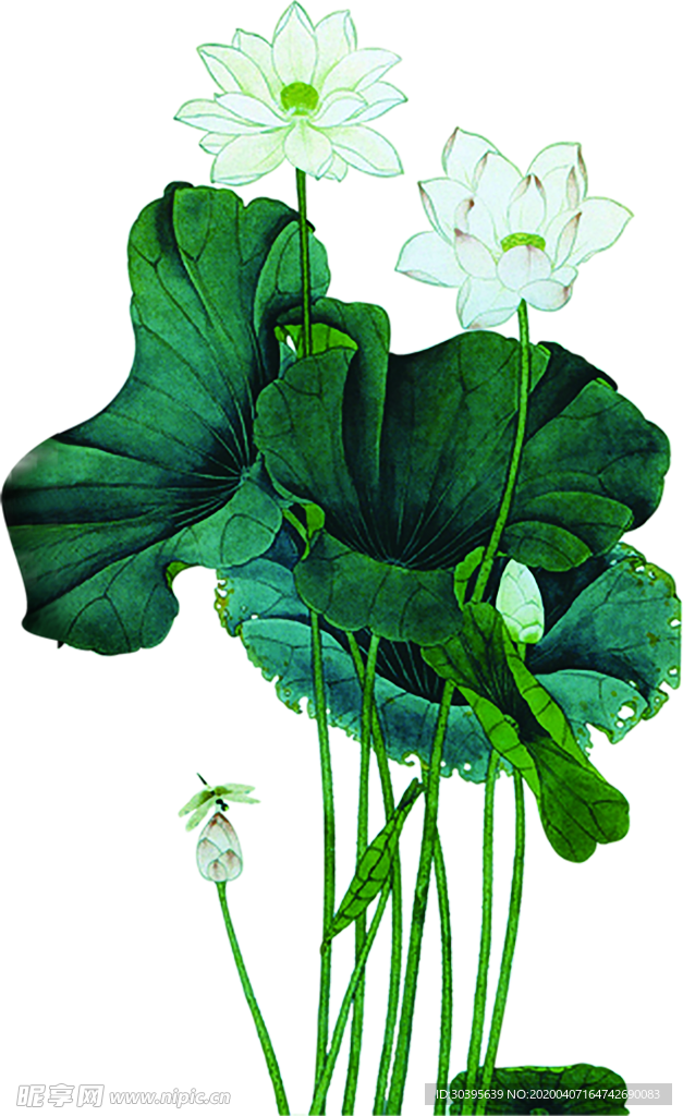 绿色植物