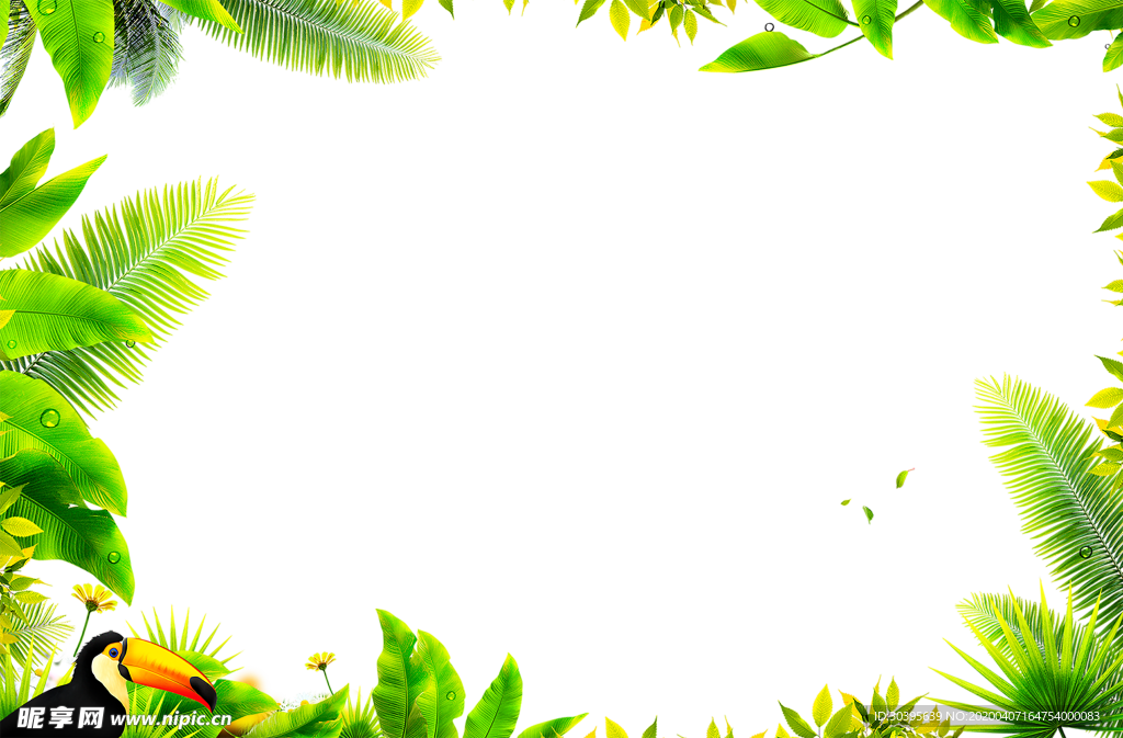 绿色植物