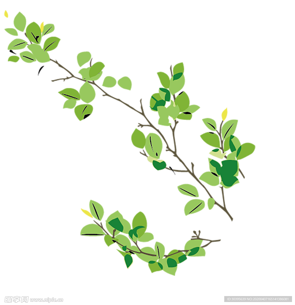 绿色植物
