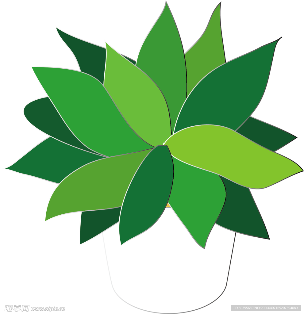 绿色植物
