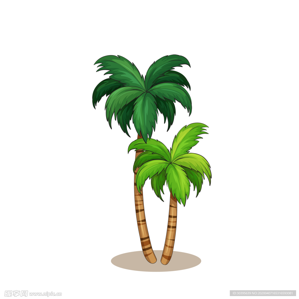 绿色植物