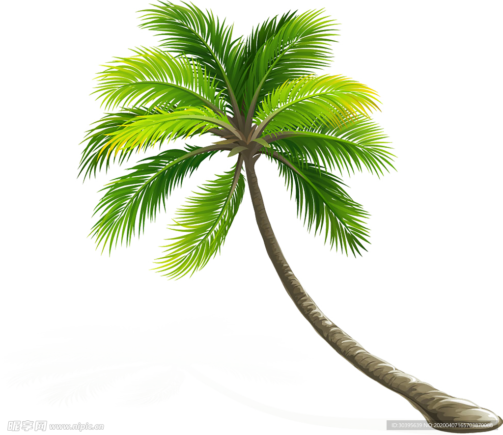 绿色植物