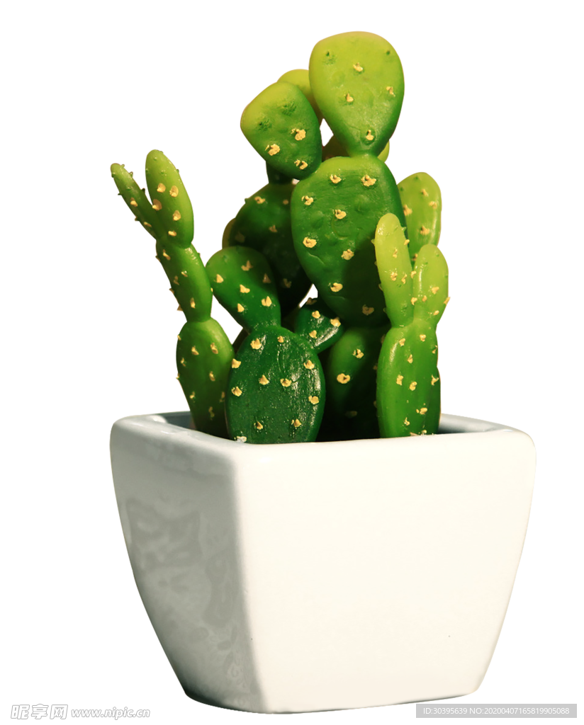 绿色植物