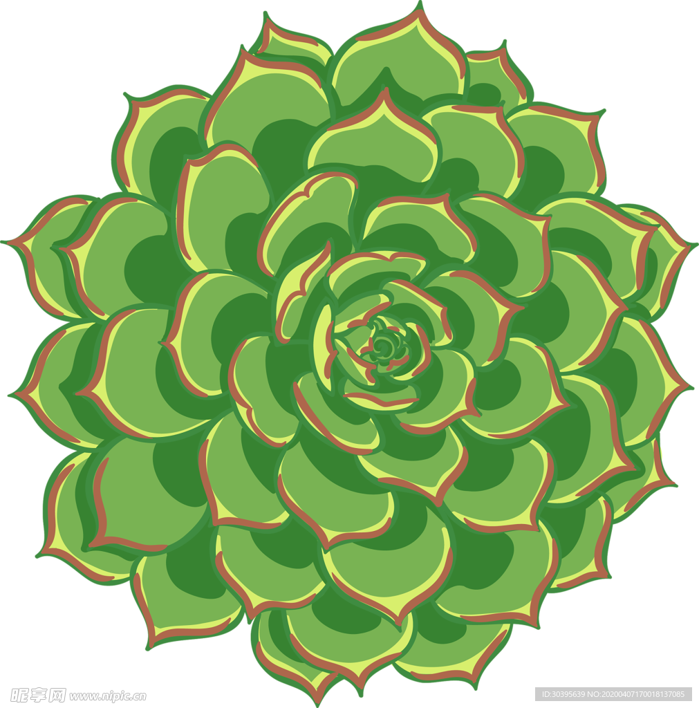 绿色植物