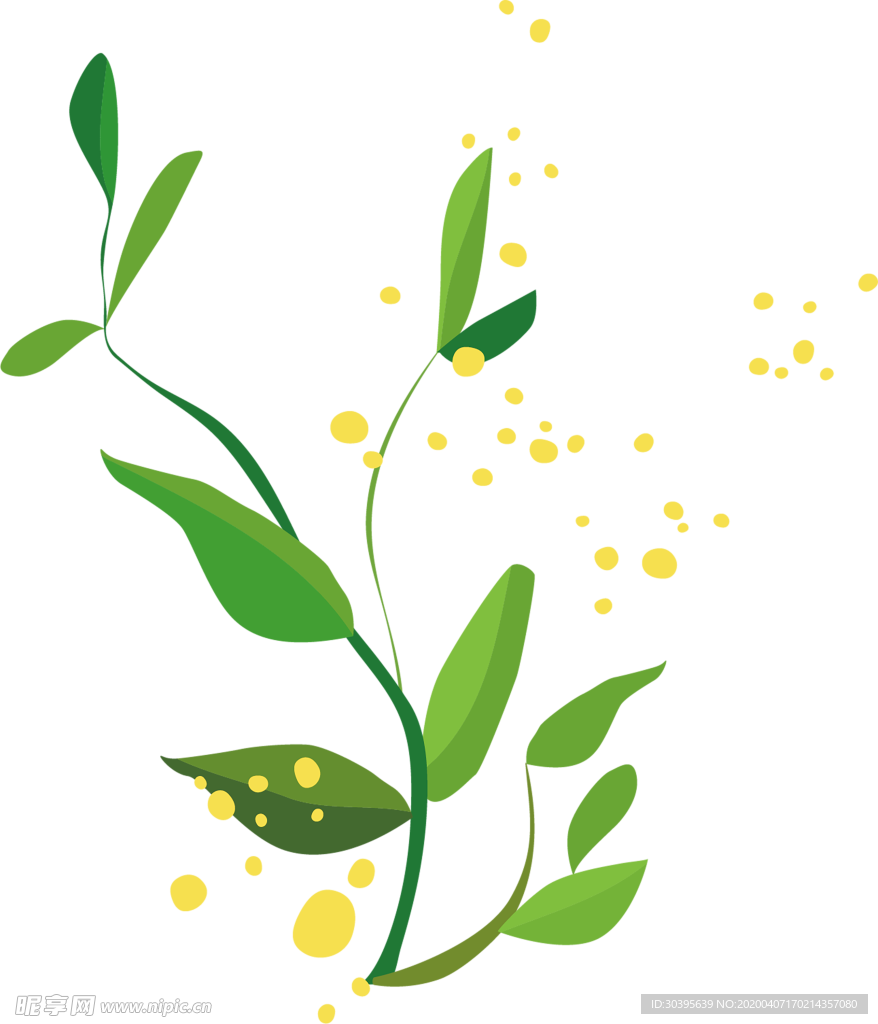 绿色植物